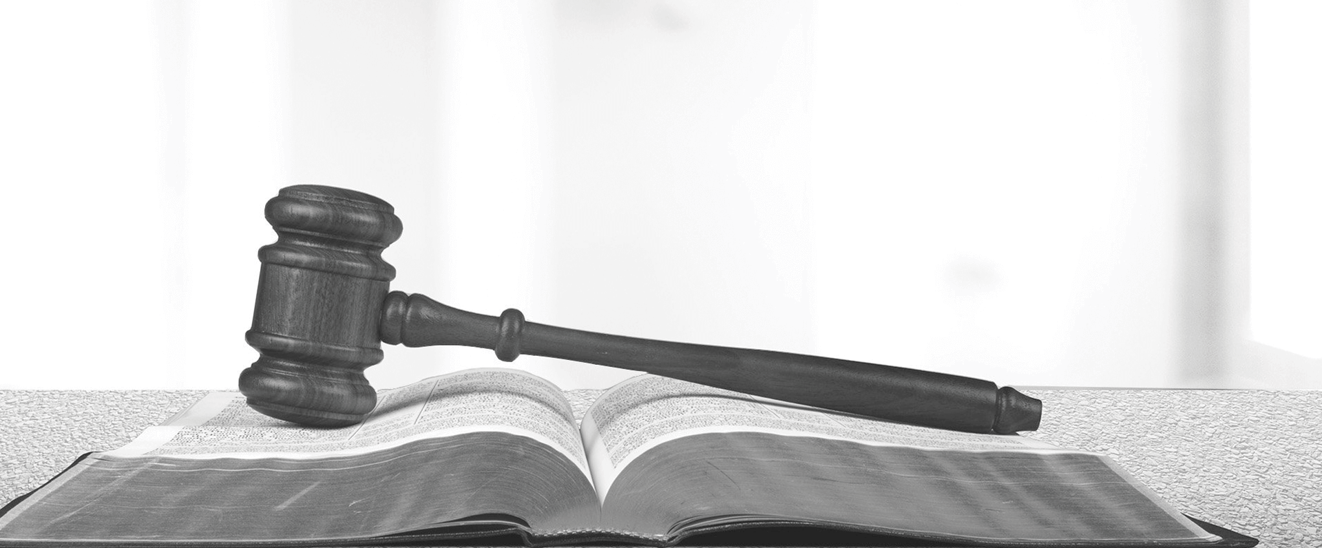 The Vela Law Firm Lawyer Services